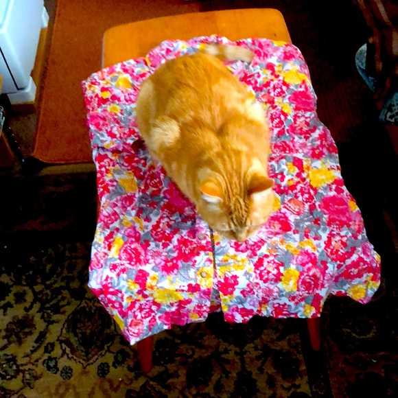 Men’s cotton shirt short sleeve by April Cornell s L has gold accents - Picture 1 of 3